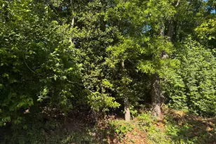 607 Concerto Ln, Silver Spring, MD 20901 - Photo 34