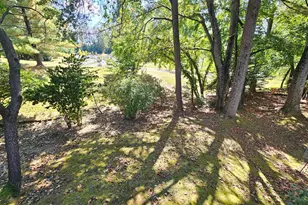 11321 Classical Ln, Silver Spring, MD 20901 - Photo 58