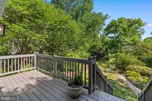 3419 Raymond St, Chevy Chase, MD 20815 - Photo 68