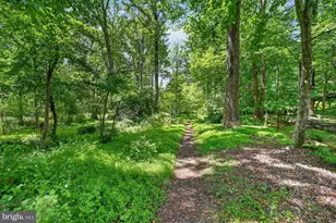 500 Finsbury Rd, Silver Spring, MD 20904 - Photo 42