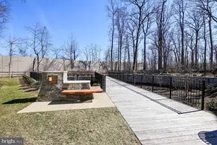5342 Merriam St, Bethesda, MD 20814 - Photo 26