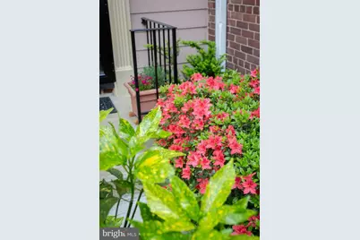 4820 Bradley Boulevard #208, Chevy Chase, MD 20815 - Photo 90