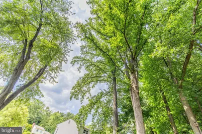 15613 Wembrough Street, Silver Spring, MD 20905 - Photo 54