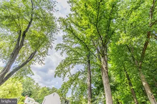 15613 Wembrough St, Silver Spring, MD 20905 - Photo 54