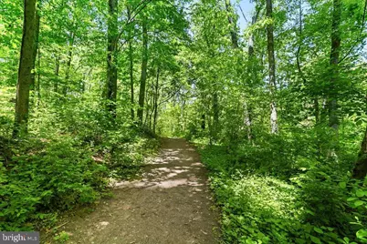 7400 Lakeview Drive #N404, Bethesda, MD 20817 - Photo 24