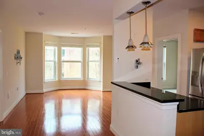38 Maryland Avenue #335, Rockville, MD 20850 - Photo 2