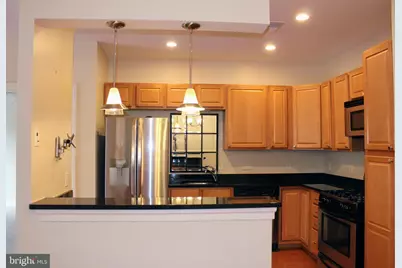 38 Maryland Avenue #335, Rockville, MD 20850 - Photo 2