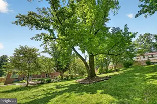 1917 Merrifields Dr, Silver Spring, MD 20906 - Photo 54