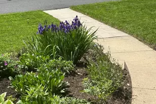 6324 Lenox Rd, Bethesda, MD 20817 - Photo 28