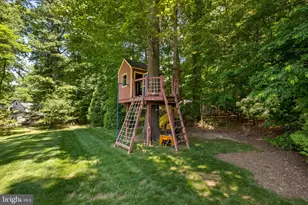 11413 Cushman Rd, Rockville, MD 20852 - Photo 14