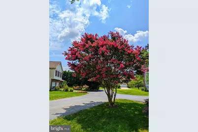 8609 Aqueduct Rd, Potomac, MD 20854 - Photo 2