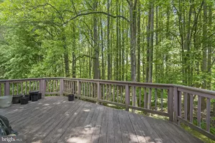 1469 Casino Cir, Silver Spring, MD 20906 - Photo 28