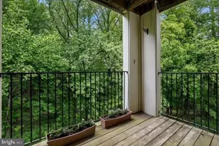 15313 Diamond Cove Terrace, Rockville, MD 20850 - Photo 8
