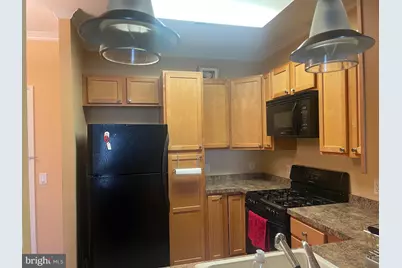 38 Maryland Avenue #418, Rockville, MD 20850 - Photo 6