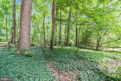 1100 Notley Road, Silver Spring, MD 20904 - Photo 50
