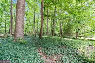 1100 Notley Rd, Silver Spring, MD 20904 - Photo 50