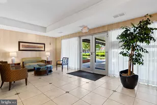 4800 Chevy Chase Dr, Chevy Chase, MD 20815 - Photo 2