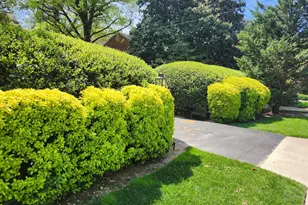 3610 East-West Hwy, Chevy Chase, MD 20815 - Photo 10
