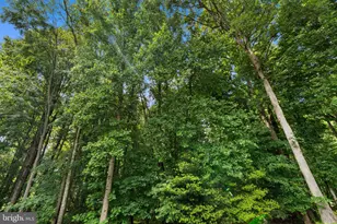 2708 Civitan Club Pl, Brookeville, MD 20833 - Photo 72