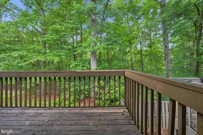 10113 Maple Leaf Drive, Montgomery Village, MD 20886 - Photo 10