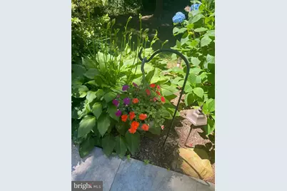 8309 Old Seven Locks Road, Bethesda, MD 20817 - Photo 12