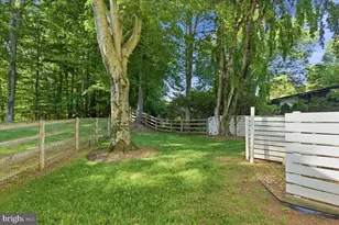 6614 Melody Ln, Bethesda, MD 20817 - Photo 46
