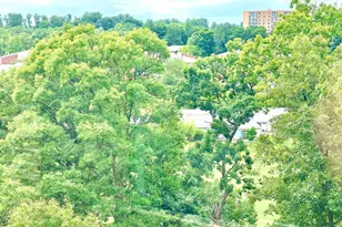 15101 Interlachen Dr Dr, Silver Spring, MD 20906 - Photo 8