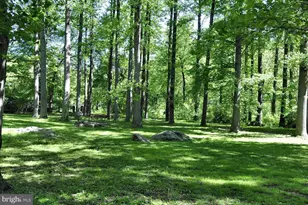 10025 Reddick Dr, Silver Spring, MD 20901 - Photo 44