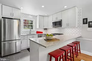 10025 Reddick Dr, Silver Spring, MD 20901 - Photo 12