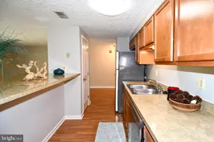 301 Palmspring Dr, Gaithersburg, MD 20878 - Photo 14