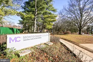 315 Circle Ave, Takoma Park, MD 20912 - Photo 104