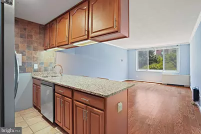 11801 Rockville Pike #209, Rockville, MD 20852 - Photo 10