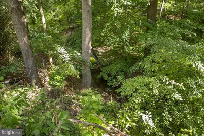 858 College Parkway #858-20, Rockville, MD 20850 - Photo 32