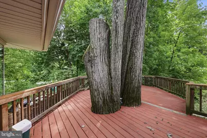 9631 Hawick Lane, Kensington, MD 20895 - Photo 42