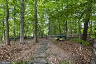 20646 Hazelnut Ct, Germantown, MD 20874 - Photo 56