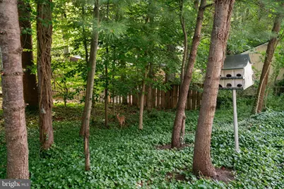 4920 Baffin Bay Lane, Rockville, MD 20853 - Photo 76