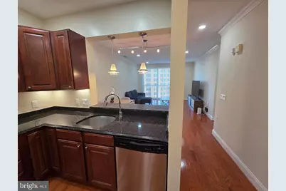 38 Maryland Avenue #PH 608, Rockville, MD 20850 - Photo 4