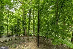 811 Sligo Creek Pkwy, Takoma Park, MD 20912 - Photo 60