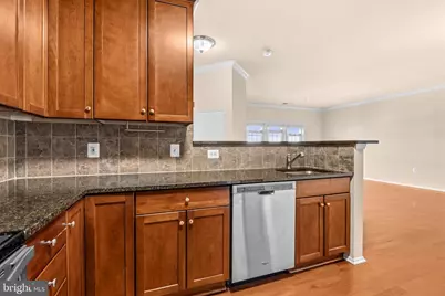 11750 Old Georgetown #2513, Rockville, MD 20852 - Photo 6