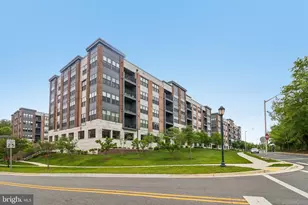 3503 Bellflower Ln, Rockville, MD 20852 - Photo 6