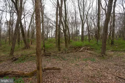 19601 Darnestown Road, Beallsville, MD 20839 - Photo 72