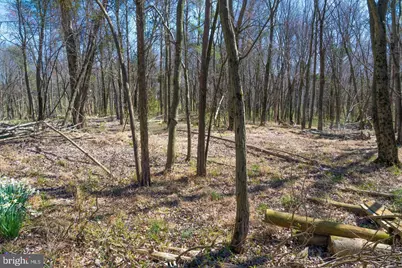 19601 Darnestown Road, Beallsville, MD 20839 - Photo 32