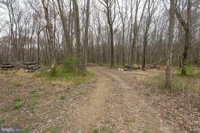 19601 Darnestown Road, Beallsville, MD 20839 - Photo 60