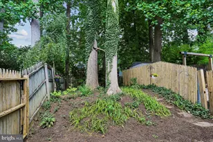 4927 Arctic Terrace, Rockville, MD 20853 - Photo 38