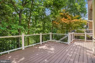 11123 Potomac Crest Dr, Potomac, MD 20854 - Photo 6