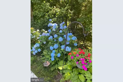 8309 Old Seven Locks Road, Bethesda, MD 20817 - Photo 14