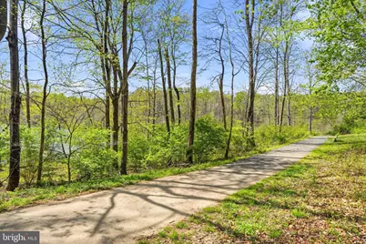 20605 Hazelnut Court, Germantown, MD 20874 - Photo 68