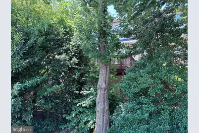 214 Halpine Walk Court, Rockville, MD 20851 - Photo 4