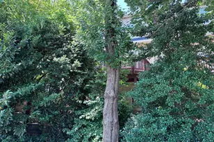 214 Halpine Walk Ct, Rockville, MD 20851 - Photo 4