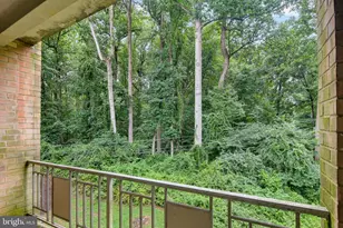 5101 Crossfield Ct, Rockville, MD 20852 - Photo 24